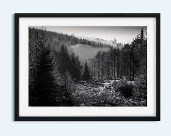 Black and White Forest Print | Moody Woodland Wall Art | Misty Trees Photography | Nature Scenery Photo | Multiple Sizes 5x7 8x10 8x12 11x14