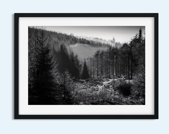 Black and White Forest Print | Moody Woodland Wall Art | Misty Trees Photography | Nature Scenery Photo | Multiple Sizes 5x7 8x10 8x12 11x14
