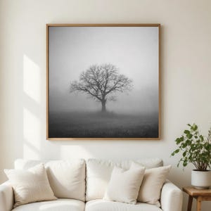 May include: Black and white framed print of a solitary tree in a field, shrouded in fog. The tree's bare branches are silhouetted against the misty background. The artwork is displayed above a white sofa with decorative pillows.