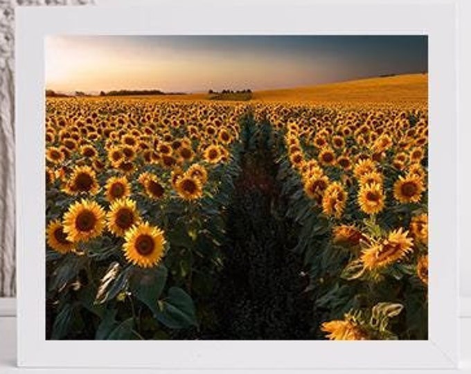 Sunflower Landscape Printable Wall Art | Instant Download | Bright & Sunny Nature Art for Home, Bedroom, or Office