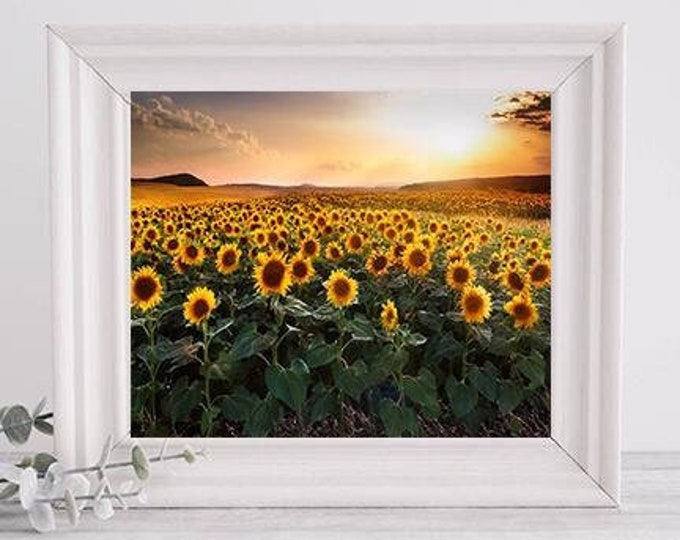 Golden Sunflower Field Digital Print | Instant Download | Rustic Floral Wall Art | Nature Photography for Home & Office Décor"