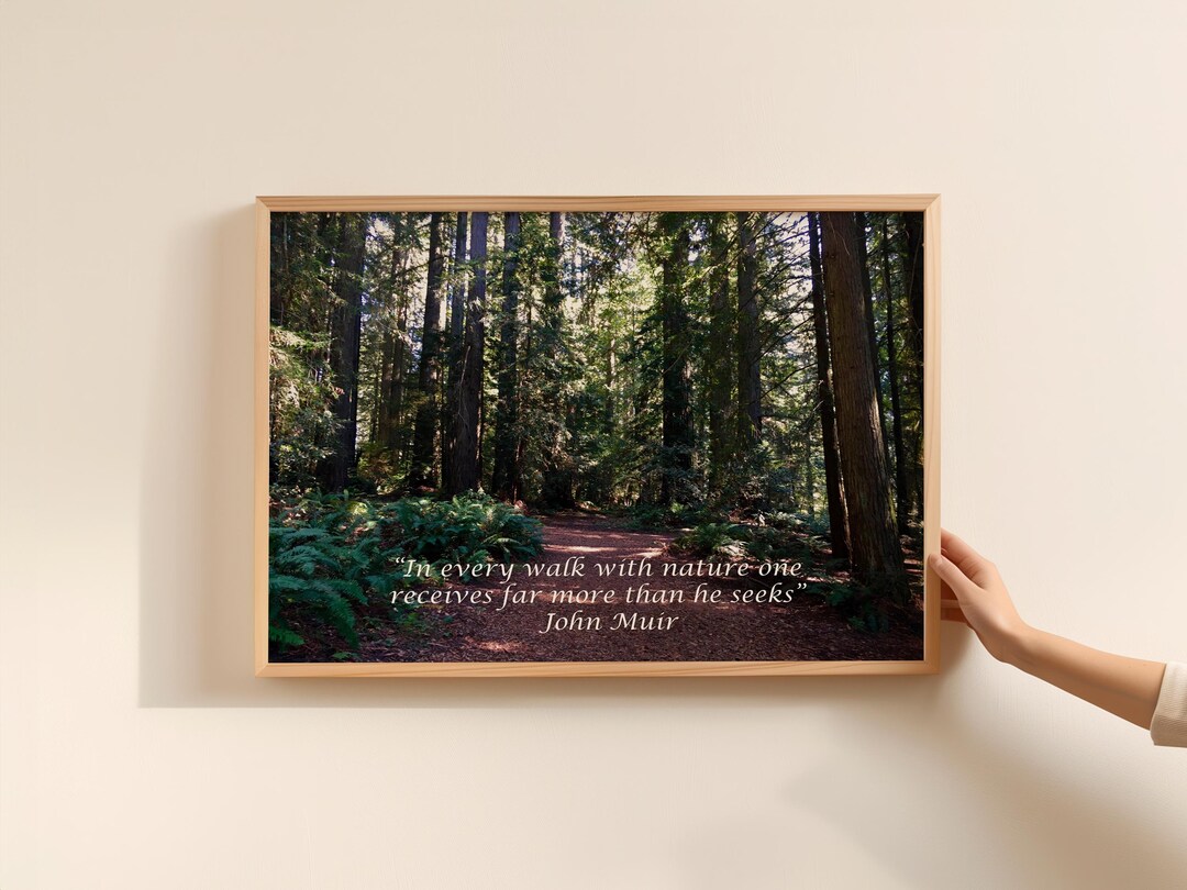 Forest Print With John Muir Quote | Nature Wall Art (digital Download ...