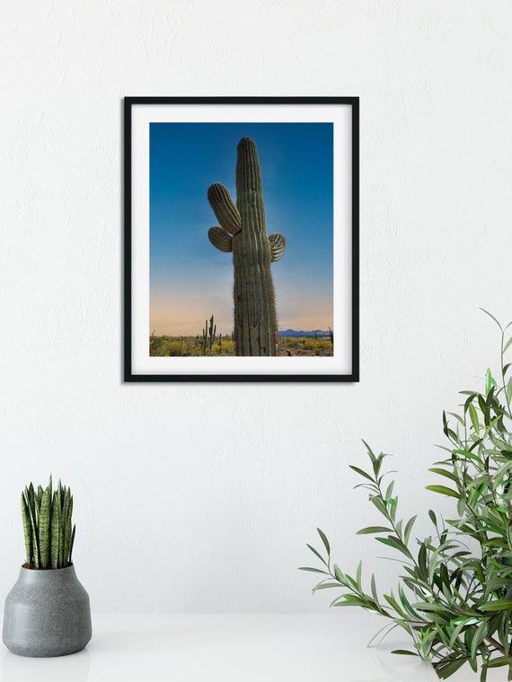 Cactus Digital Download Picture Desert Printable Wall Art | Etsy