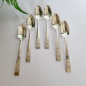 May include: Six silver spoons with a reflective finish, arranged on a white surface. The spoons have decorative floral patterns on the handles. The spoons are fanned out, with a fern plant visible in the background.