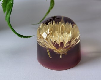 Vintage Hand Made Small Acrylic Dried Flower Paperweight - 5.5 cm Diameter