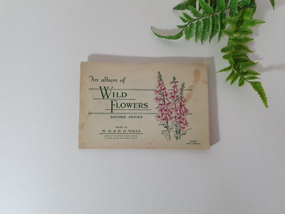 Vintage Wills Picture Cigarette Cards Collectable - 50 Wild Flowers -  Second Series