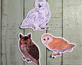 Girl Who Loves Owls 2x2inch Waterproof Sticker