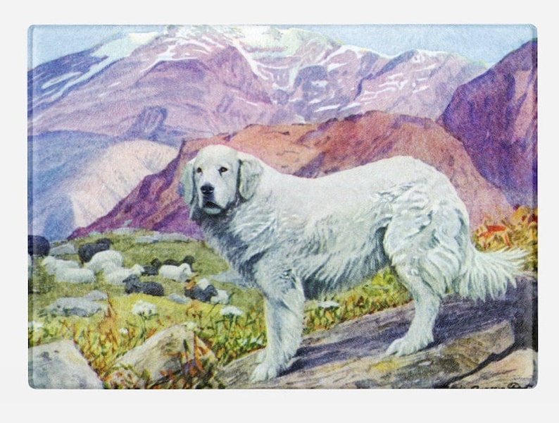 Tempered Glass Cutting Board 1919 by Louis Agassiz Fuertes Great Pyrenees ca