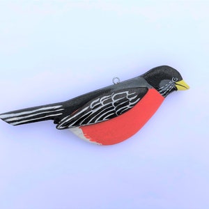 American Robin