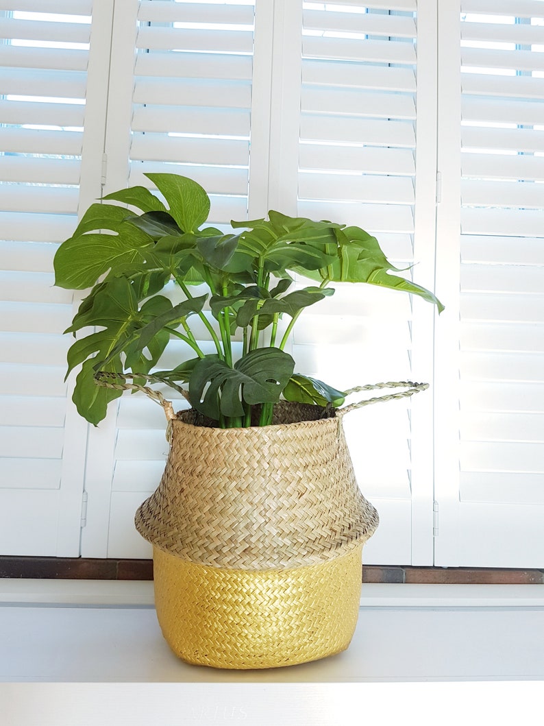 Storage Basket Belly Basket Plant Basket Seagrass Basket Etsy UK