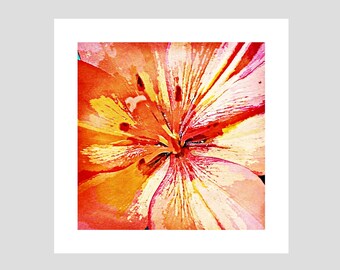 Lily art print | Floral print | Orange Lily picture | Orange Lily print | Botanical print | Botanical art