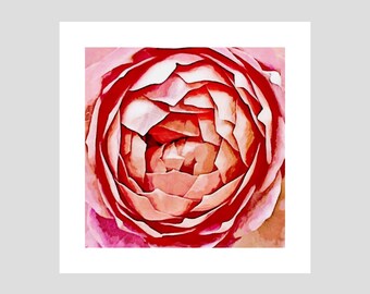 Rose art print | Floral print | Rose picture | Rose print | Botanical print | Botanical art