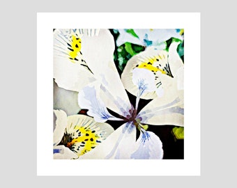 Lily art print | Floral print | Lily art print | Blue yellow lily print | Botanical print | Botanical art
