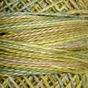 May include: A skein of variegated embroidery floss in shades of green, brown, and pink.