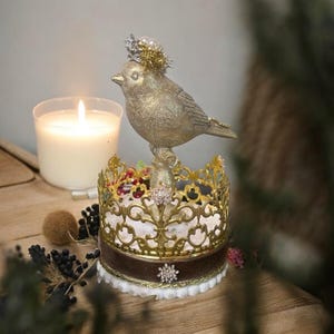 SNOW BIRD