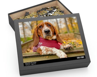 Könnte beinhalten: Puzzle-Box mit einem Basset Hound, der einen roten Pullover trägt und sich auf einem Holzzaun abstützt. Die Box ist geöffnet und zeigt Puzzleteile. Der Text "16x20 Puzzle 500 pcs Ages 9+" ist sichtbar. Größe: 40,6 x 50,8 cm.