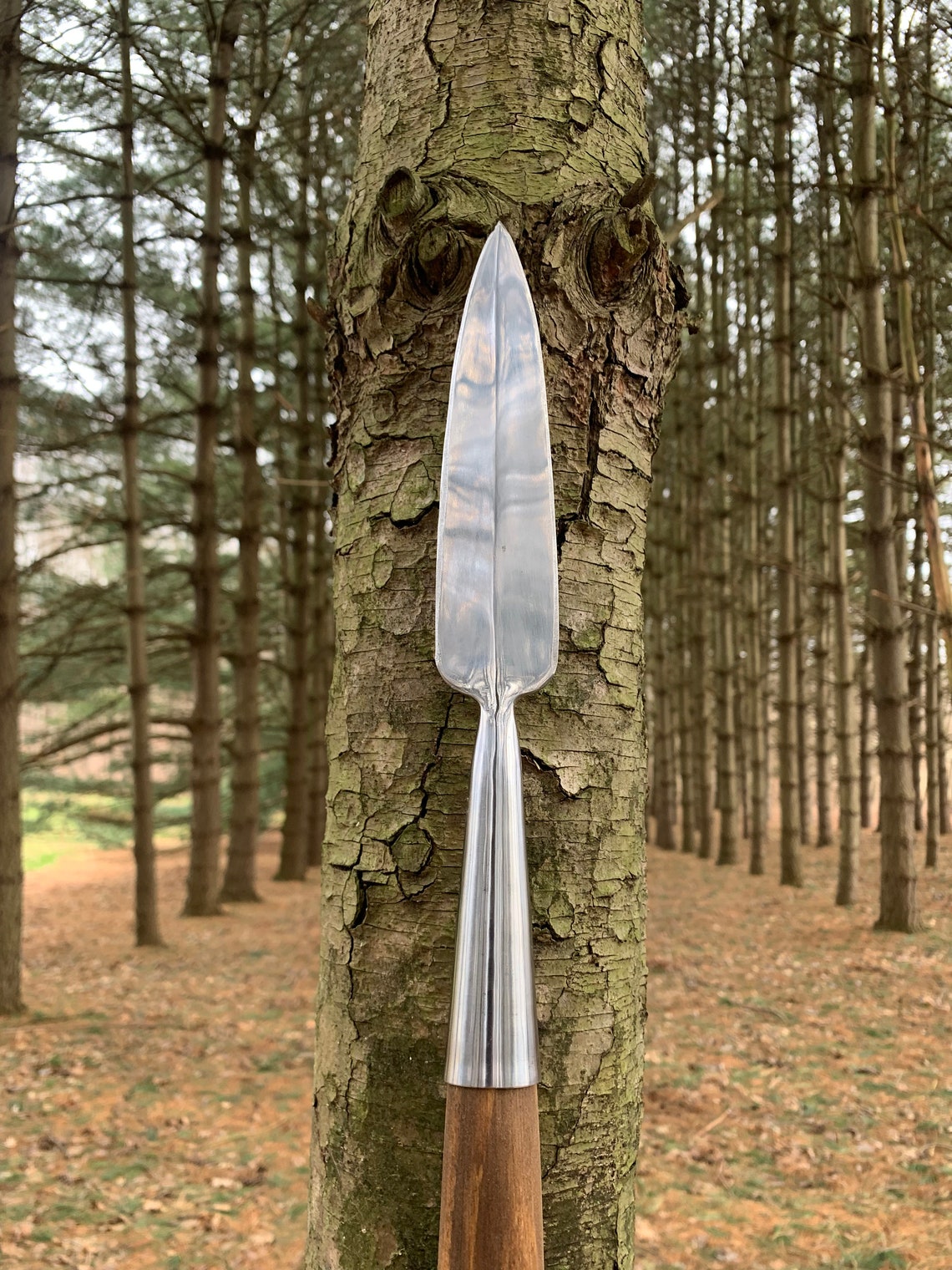 12th Century Medieval Long Spear Etsy