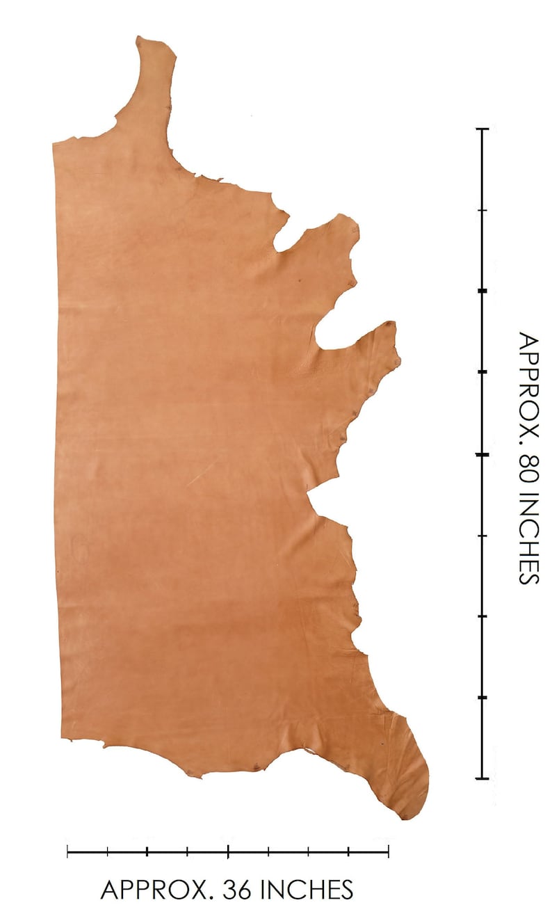 Full Aniline Soft Pebbled Cow Hide