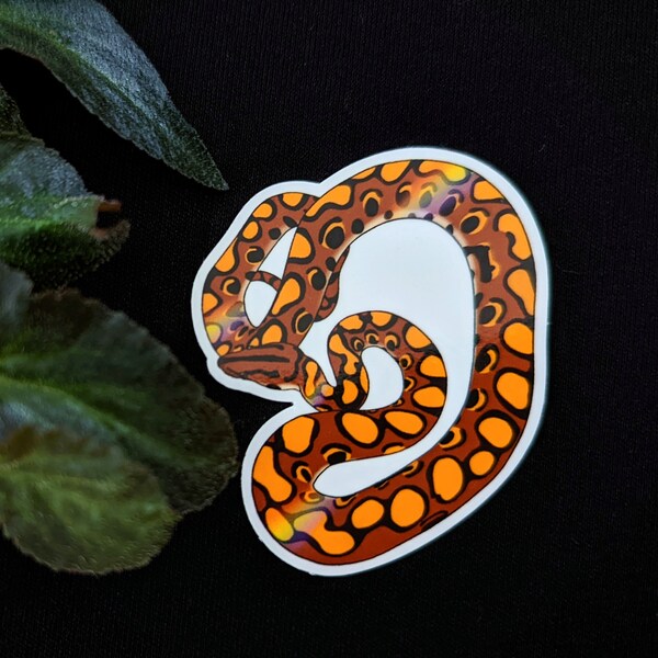 Rainbow Boa Vinyl Sticker - Cyprin