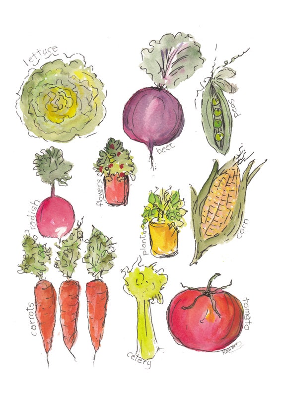 Impression De Legumes De Jardin Peinture A Laquarelle Fr Etsy Canada