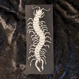 May include: Black and white illustration of a large centipede with many legs. The centipede is depicted in a curled position, with its head and tail visible. The illustration is printed on a black background.