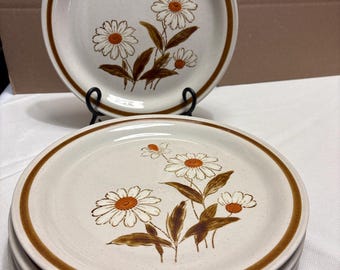 Vintage 1990s Old Brook collection Stoneware Dinner plates  set of 5