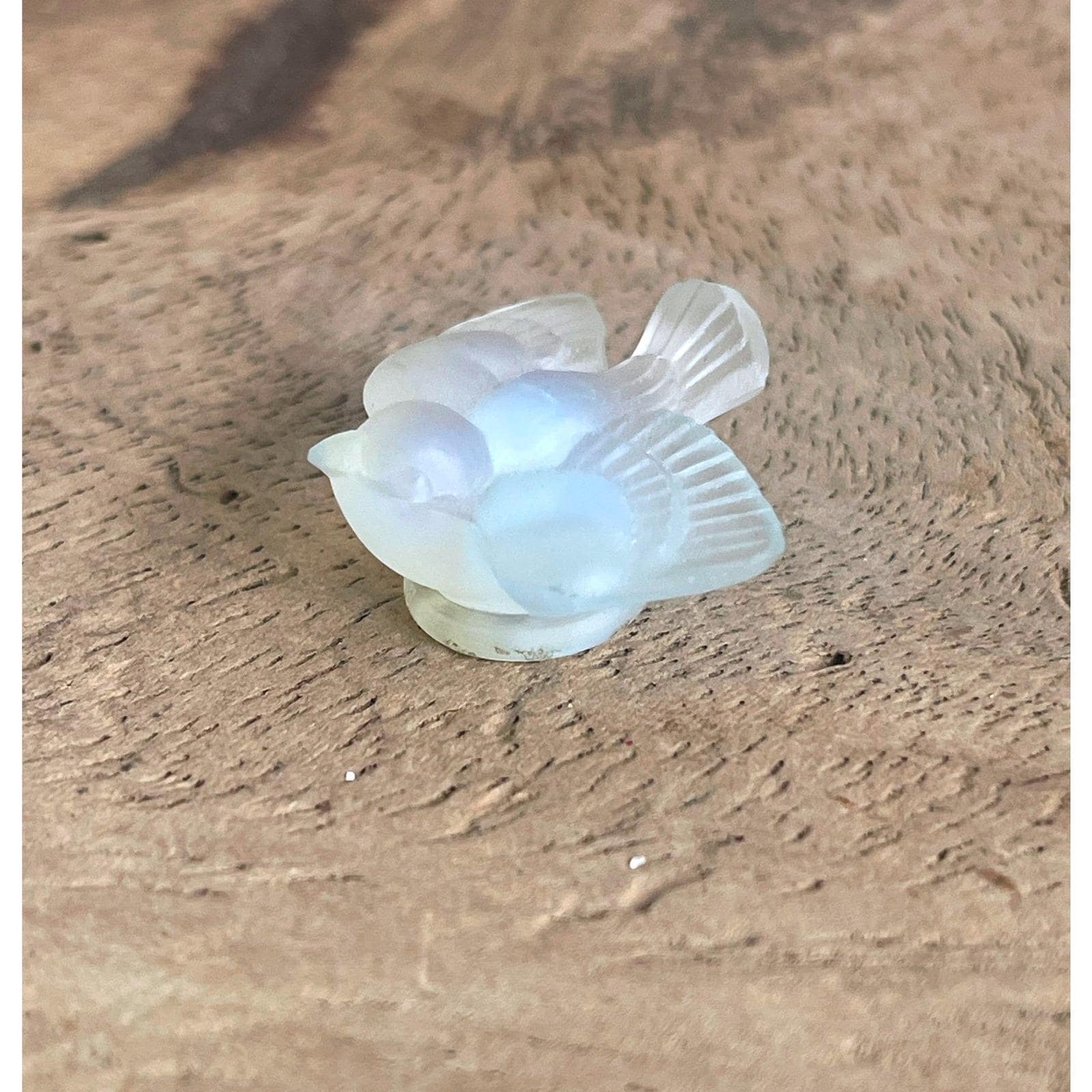 Sabino Birds - Etsy