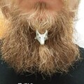 Wolf Beard Bead