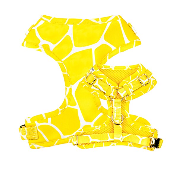 yellow dog harness