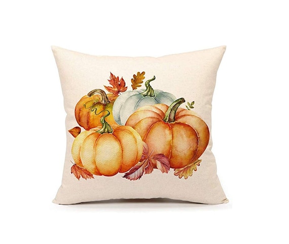 Farmhouse Pillow Cover 18x18 Autumn Pumpkin Velvet Throw Pillow Cover in