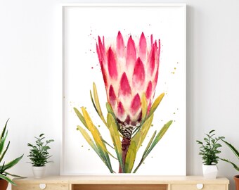 Protea Flower, Watercolour Protea Pink Red Flower Painting, Poster Print, Fine Art, Wall Art, Australian, African Flower