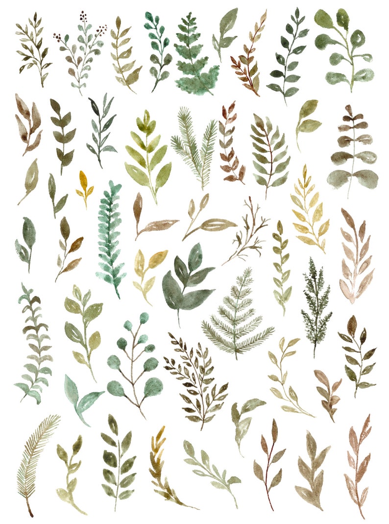 Greenery Watercolor Leaf Clip Art Foliage Clipart Leaves Clipart Green Floral Png Files Wedding Elements Botanical Clipart Free Commercial