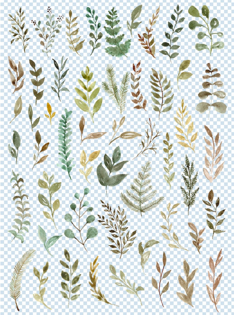 Greenery Watercolor Leaf Clip Art Foliage Clipart Leaves Clipart Green Floral Png Files Wedding Elements Botanical Clipart Free Commercial