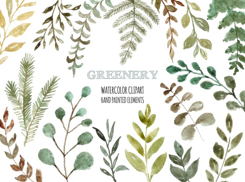 Greenery Watercolor Leaf Clip Art Foliage Clipart Leaves Clipart Green Floral Png Files Wedding Elements Botanical Clipart Free Commercial