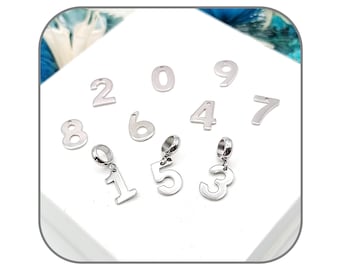 Edelstahl-Silber-Charm-Anhänger 1, 2, 3, 4, 5, 6, 7, 8, 9, 0 für Halskette oder Armband | Stahlkettenoption
