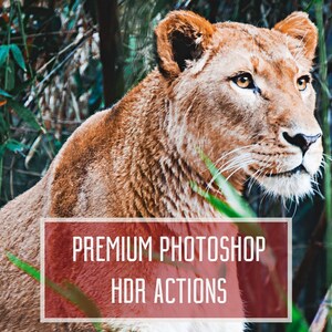 5 Premium Photoshop HDR Actions. Auto Editing and Toning Images. Instant Download.