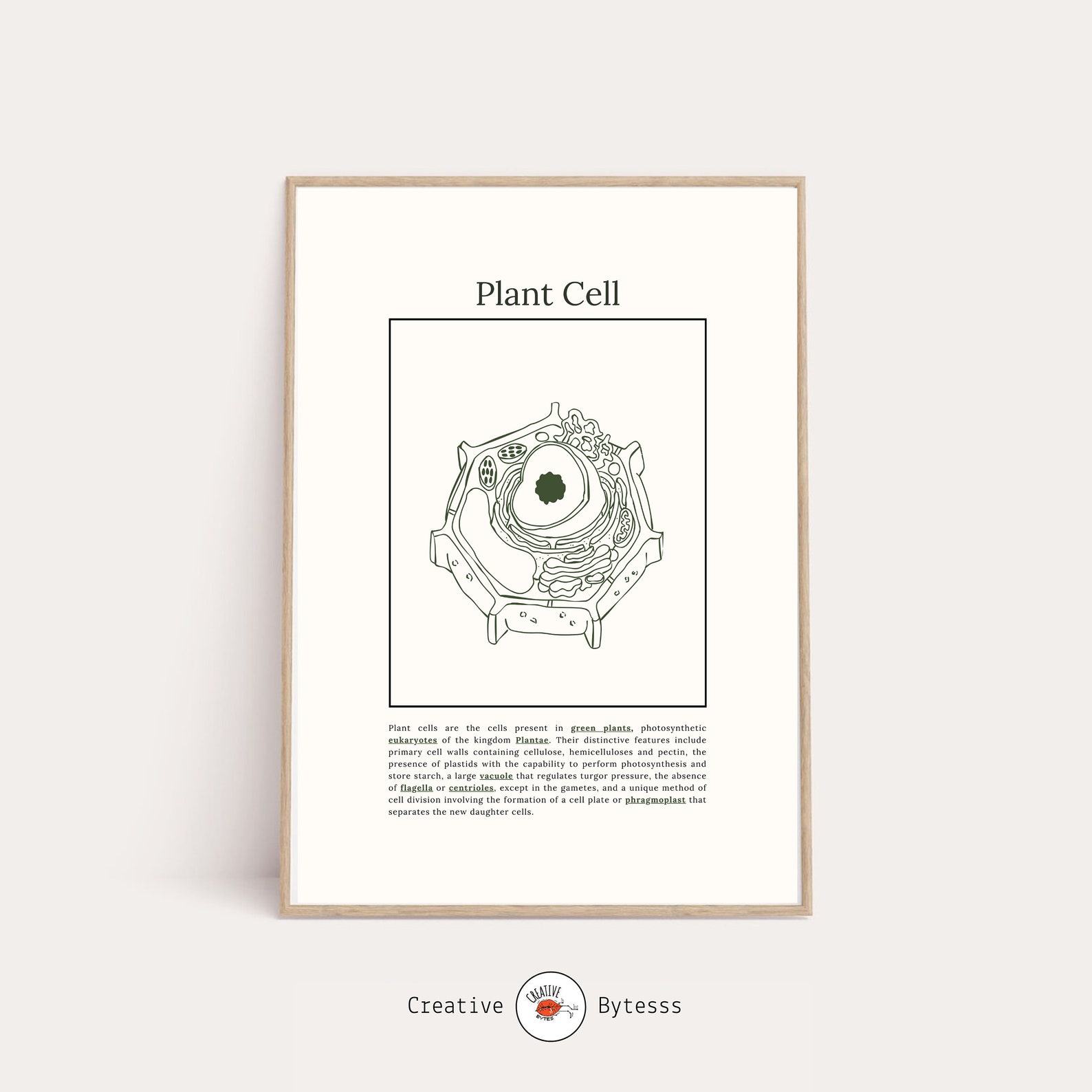Plant Cell Structure Printable , Download Biology Lesson, Kids Homeschool Activity, Earth ...