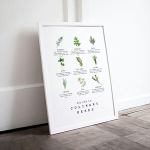 Guida alle erbe culinarie - Grafica stampabile cucina, poster decorativo Gourmet, erbe aromatiche, arte botanica per casa e cucina