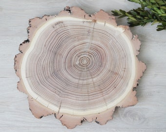 Tree Trunk Coasters Etsy