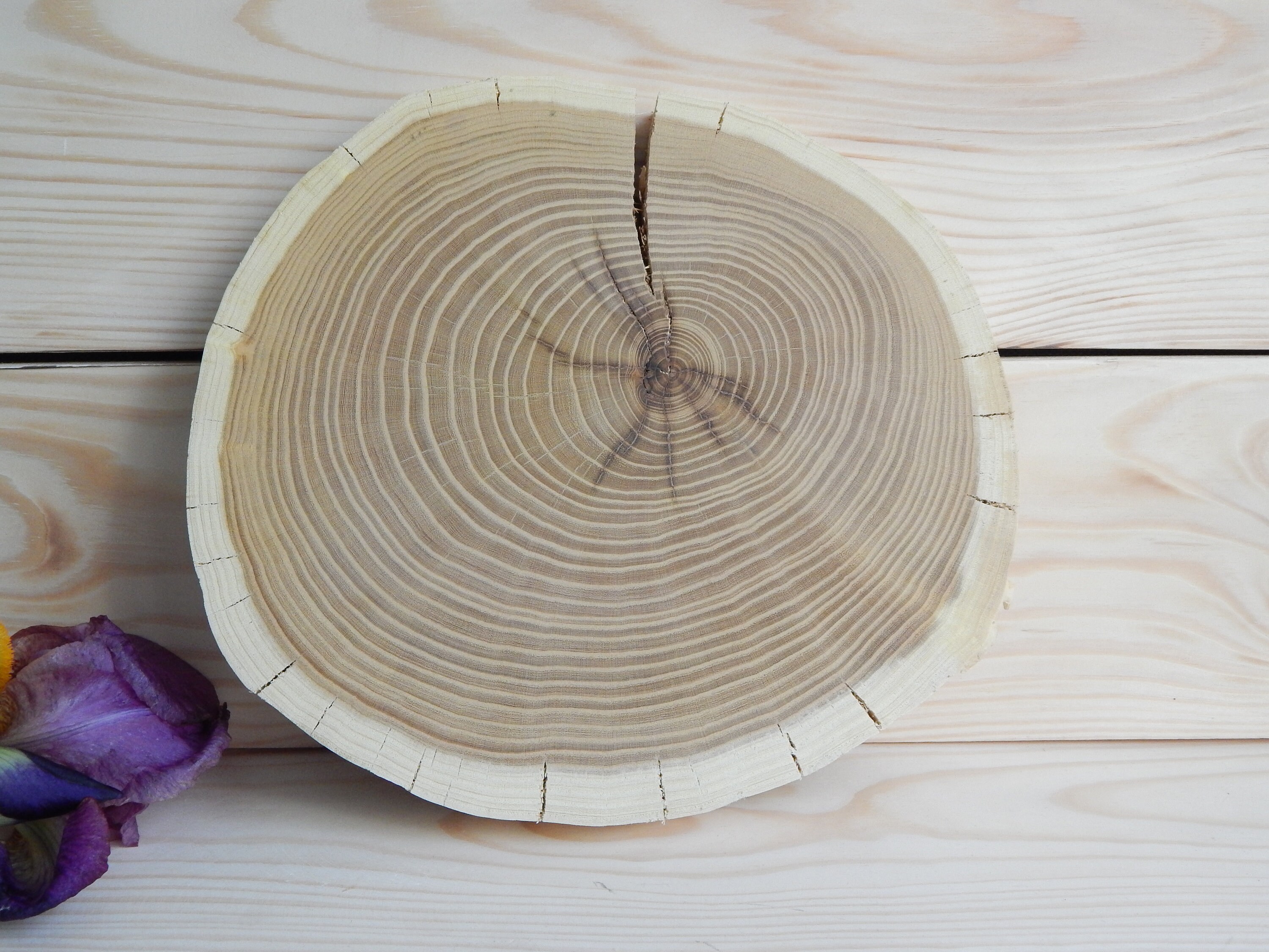 Natural Wood Slices Tiberham 21 Pcs 1.2-3.9 Inches Unfinished 