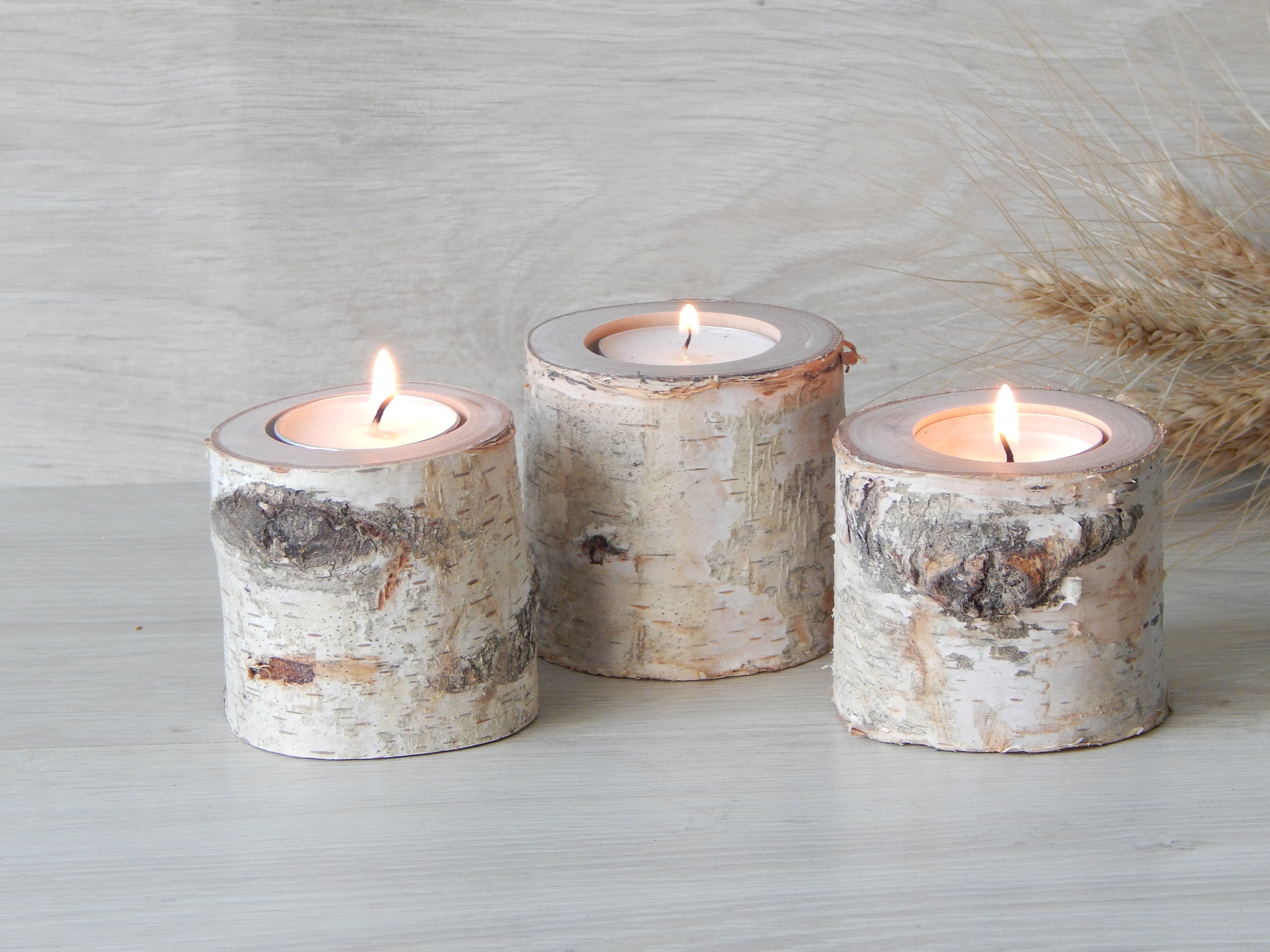 SET OF 3 Birch Candle Holders White Birch Candle Tree Branch Etsy