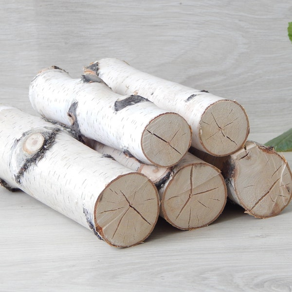 White Birch Branches Etsy