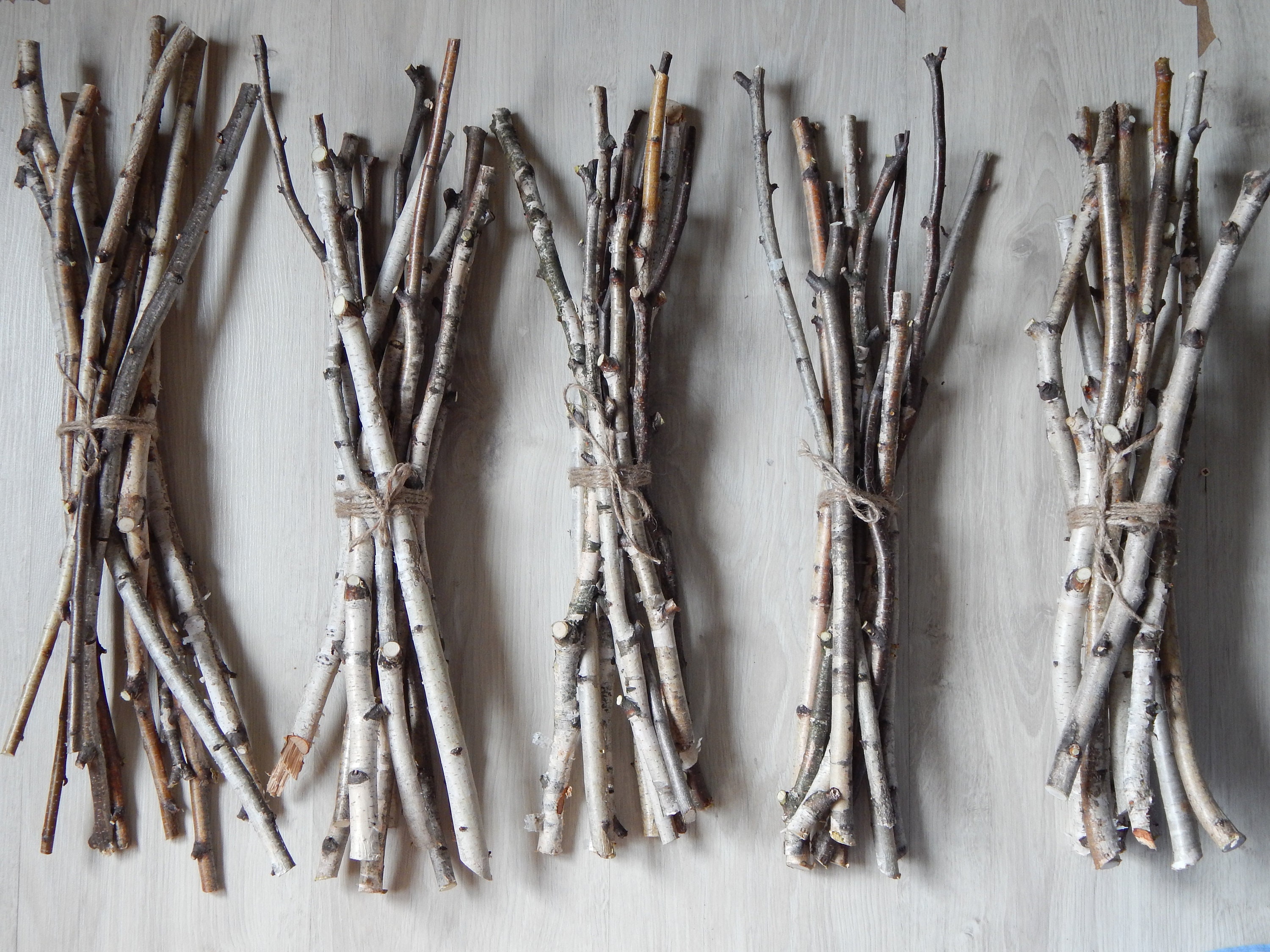 Set 10 white birch branches 16 Birch stick Birch log Etsy