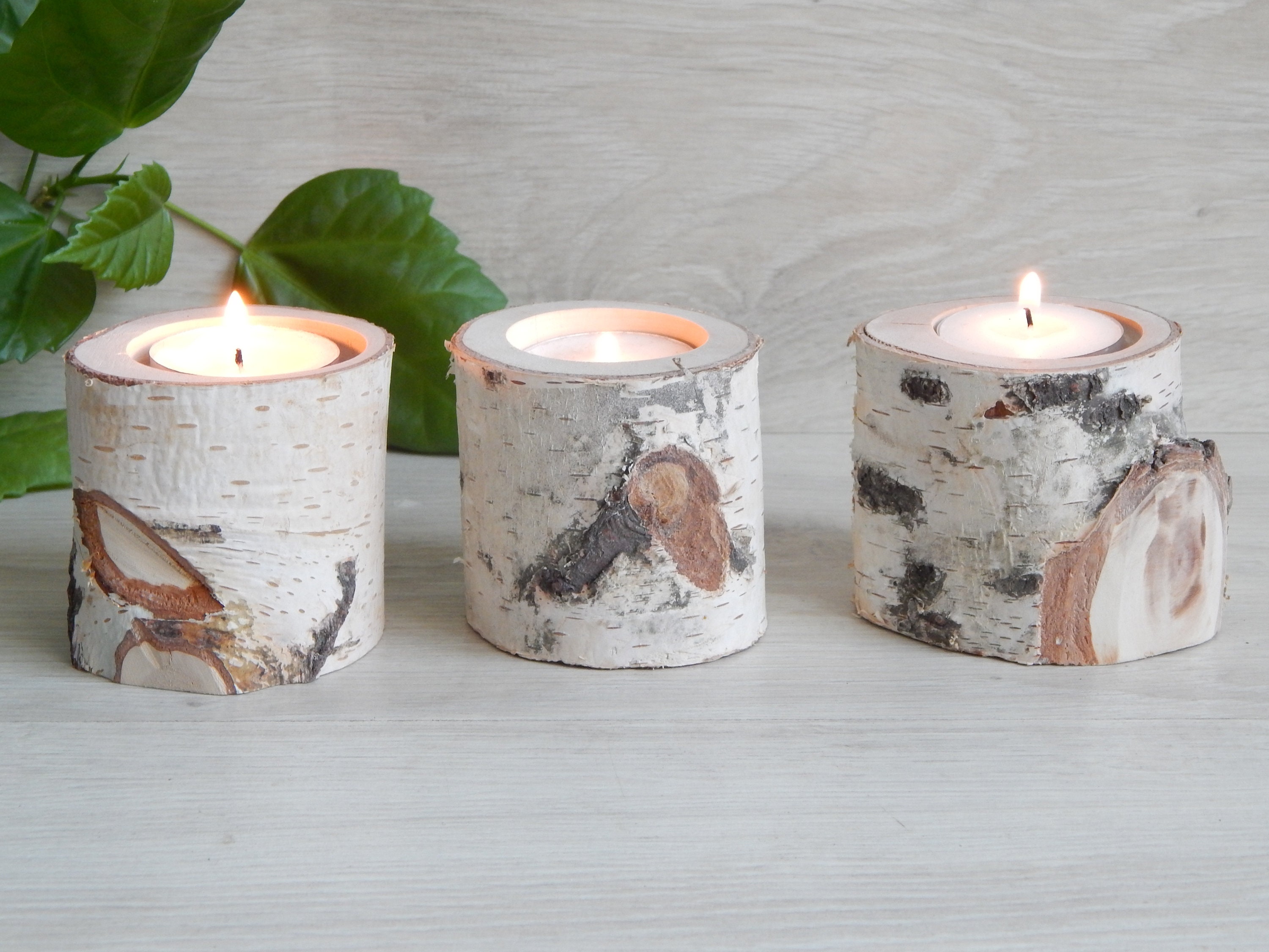 SET OF 3 Birch Candle Holders White birch candle Tree Branch Etsy