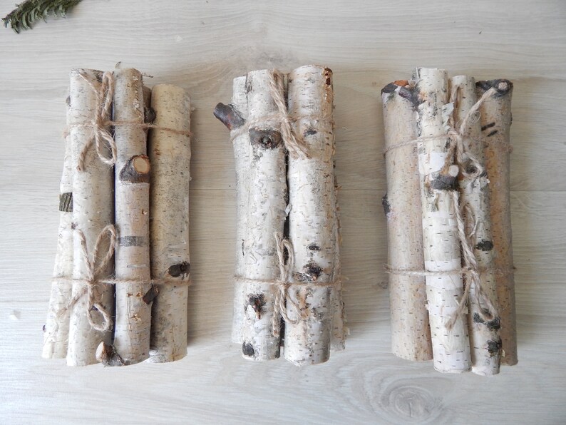 Set of 5 SMALL Birch Logs 8 White Birch Branches Decorative Birch Wood Eco Wood Natural Craft