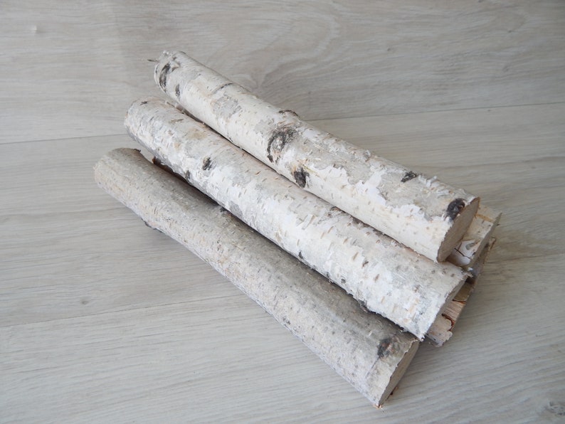 Set of 5 SMALL Birch Logs 8 White Birch Branches Decorative Birch Wood Eco Wood Natural Craft