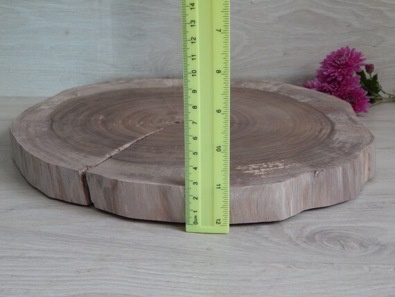 Set of 10-11 Inch Wood Slices, Wood Slabs, Wood Slice Centerpieces