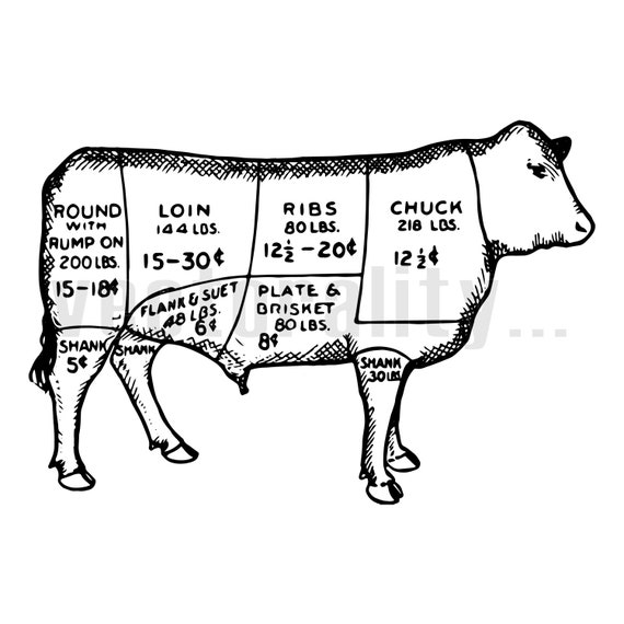 Vintage Victorian Butcher Meat Cuts Beef Cow Illustration Etsy