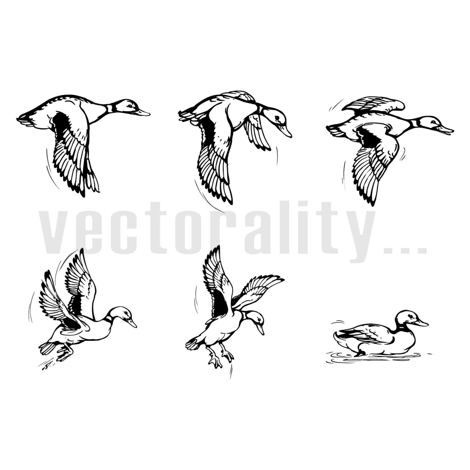 Тату утки эскиз