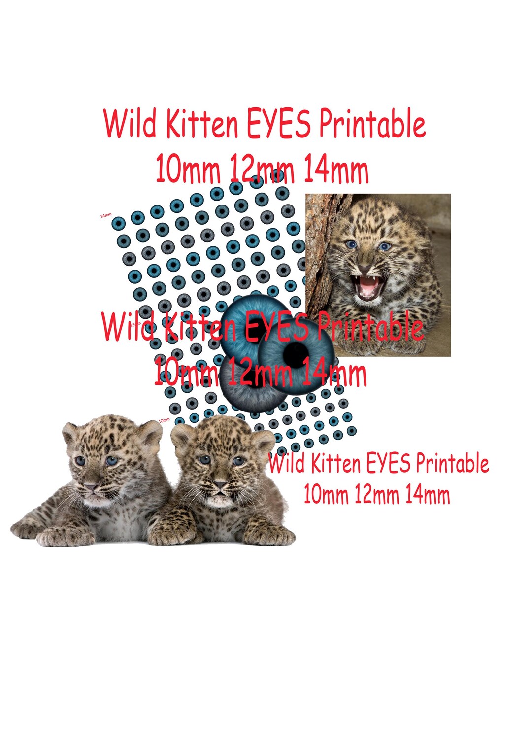 Realistic Cat Eyes Printable Craft Circles Leopard Cub Lynx Kitten Wild